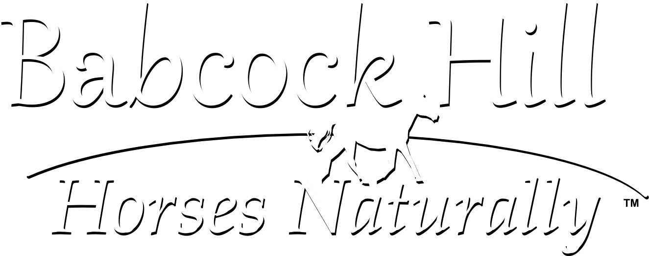 Babcock Hill Horses Naturally